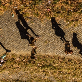 Students walking along a path